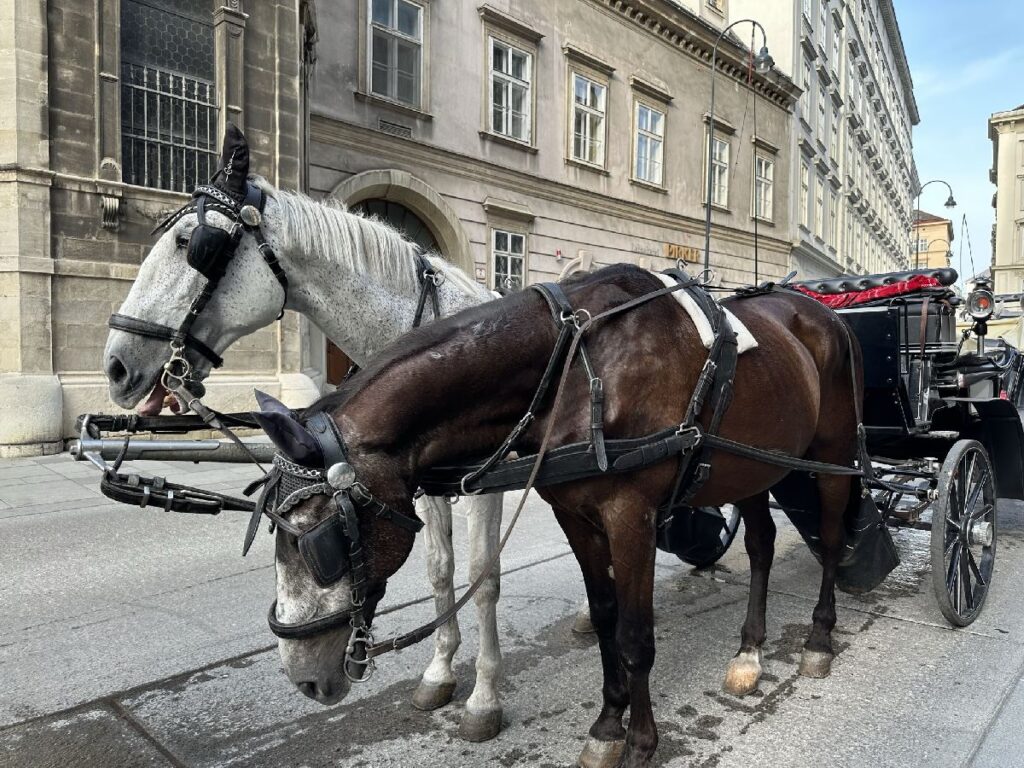 Horse-drawn carriage ride in Vienna