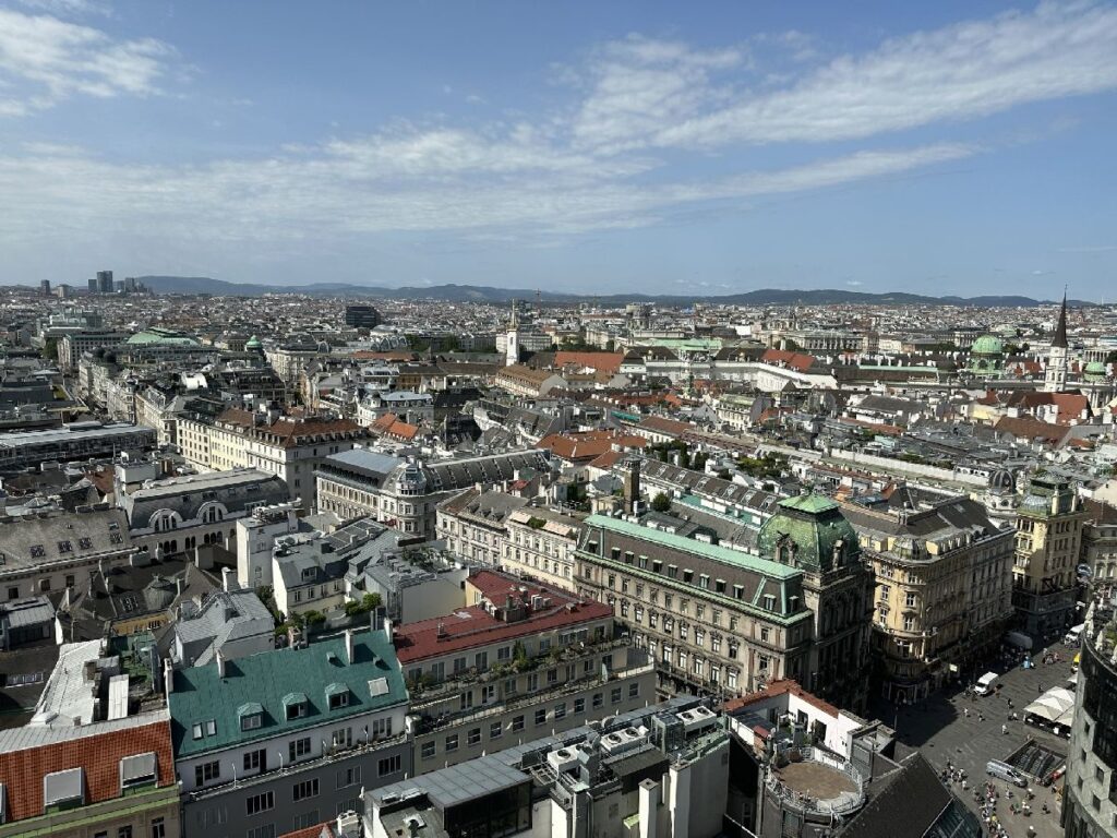 overlooking the old town of Vienna