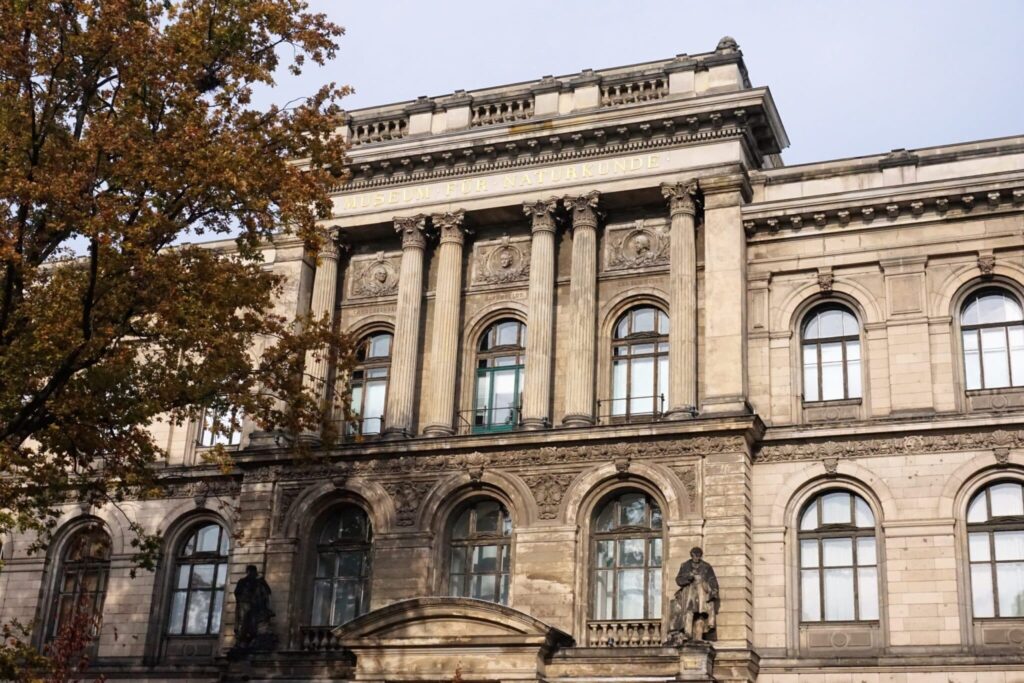 The Natural History Museum in Berlin has an ornate stone façade, tall columns and arched windows beneath an autumn tree.