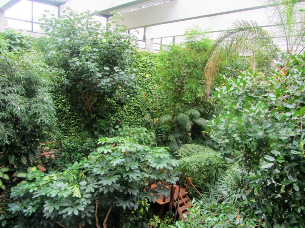 Lush tropical plants and palm fronds fill a glass-roofed indoor garden, a leafy stop for families exploring Berlin with kids.